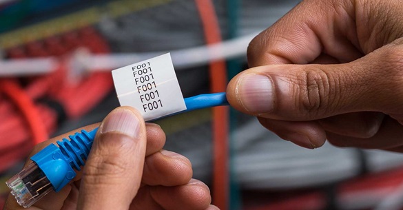 Brother TZe cable label being prepared for wrapping around network cable