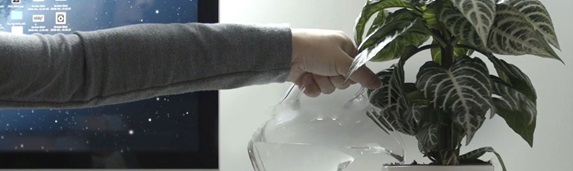 Person watering plant