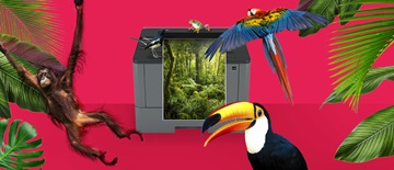 001-Our-commitment-to-environment-blog-header
