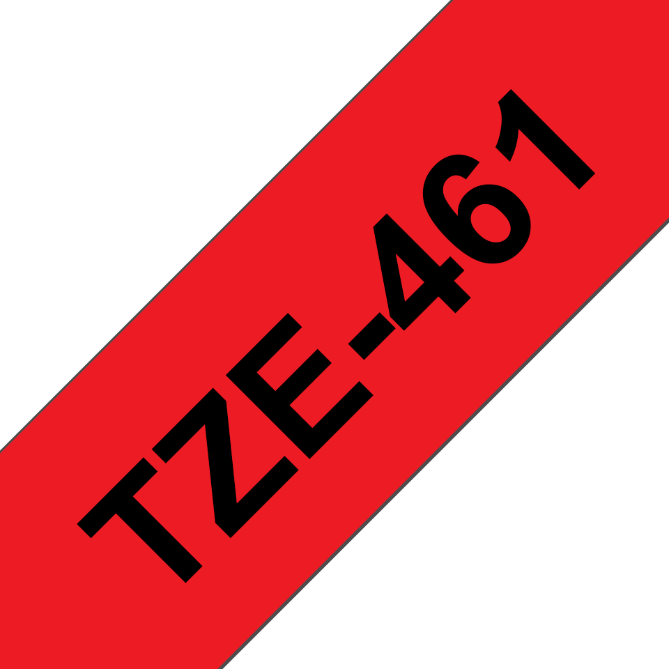 TZe461_main